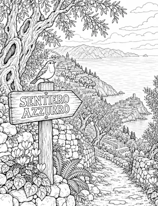 Detailed coloring page of Volastra high trail and olive groves featuring Sentiero Azzurro sign
