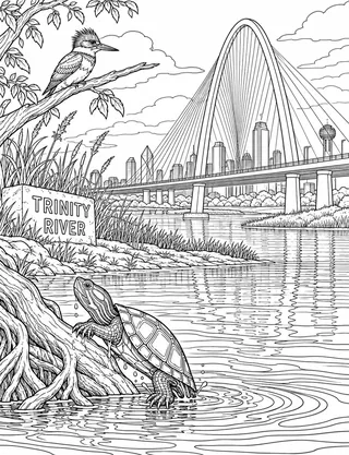 Detailed coloring page of Trinity River and Margaret Hunt Hill Bridge