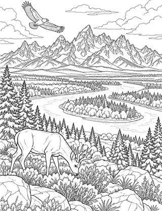 Detailed coloring page of Snake River Overlook panoramic bend