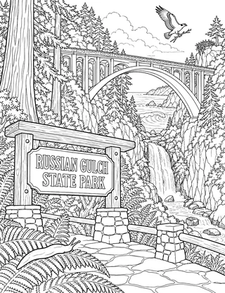 Detailed coloring page of Russian Gulch Bridge and Waterfall