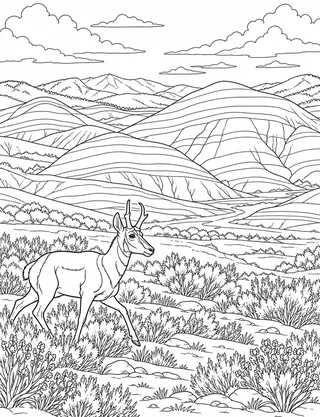 Detailed coloring page of Painted Hills High Desert