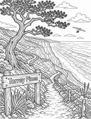 Detailed coloring page of Torrey Pines cliff trail with native pine and sweeping ocean featuring Torrey Pines sign