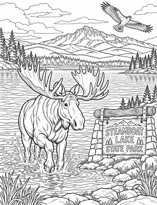 Detailed coloring page of Steamboat Lake Moose and Hahns Peak featuring Steamboat Lake State Park sign